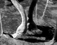 IMG_5047-1
