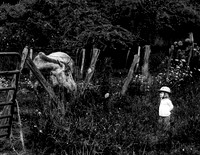 IMG_3486-1-7