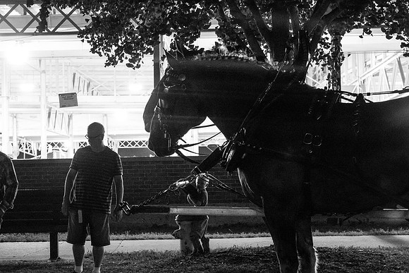 DSC01518-1