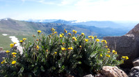P7130271-1
