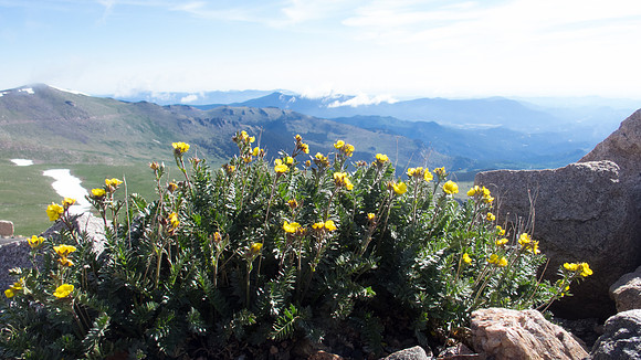 P7130271-1