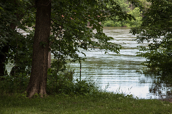 _MG_7265-1