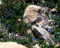 P7130282-1