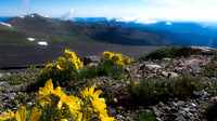 P7130290-1