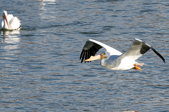 TH0A7903-1