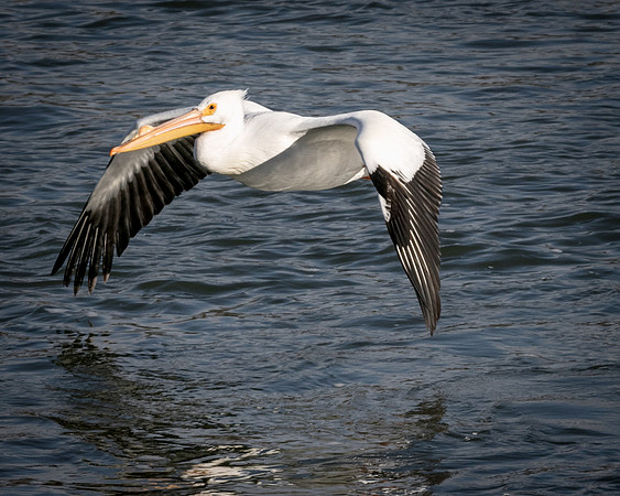 TH0A7975-1