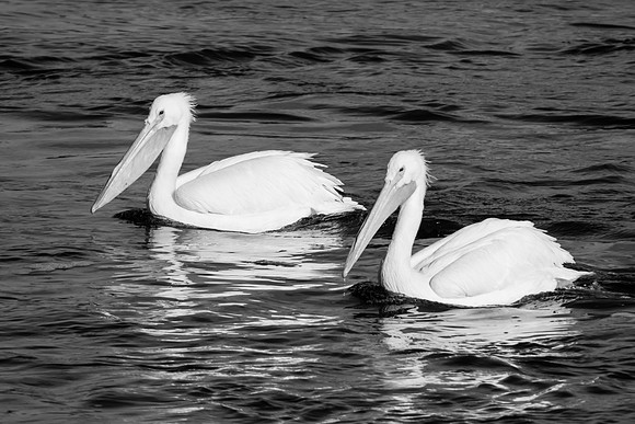 TH0A7759-1