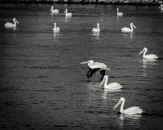 TH0A7841-1