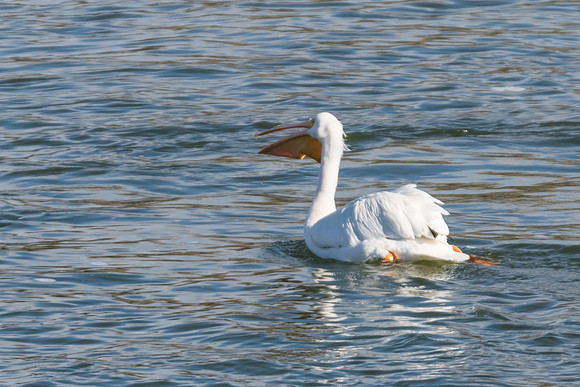 TH0A7846-1