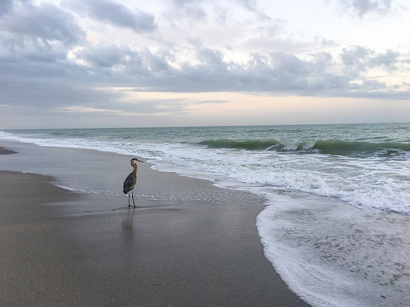 03.14.16 Manasota