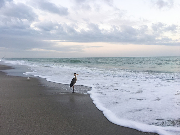 03.14.16 Manasota-2