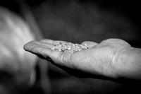 IMG_5012-1