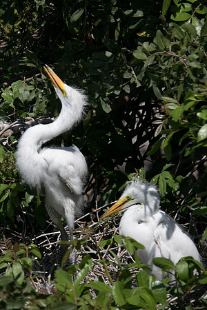 TH0A8772-1