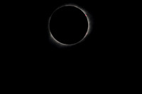 TH0A1365-1