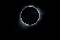 TH0A1367-1
