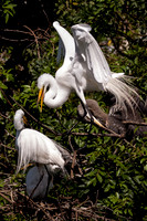 _MG_4061-1