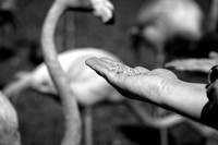IMG_5013-1