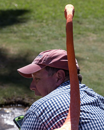 IMG_5063-1