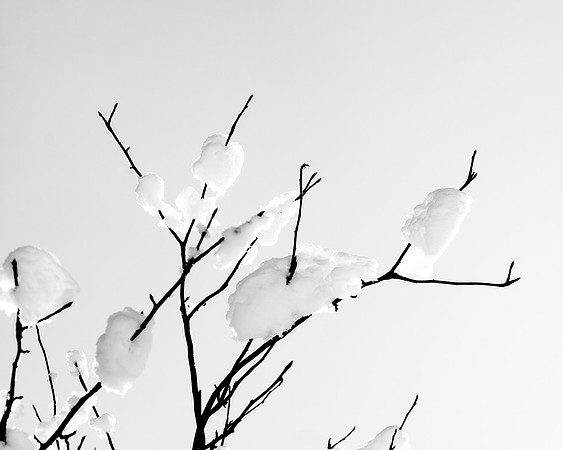 _MG_9875-1