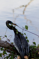 _MG_4017-1