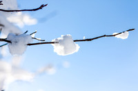 _MG_9859-1