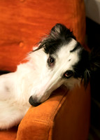 Serafina