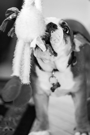 _MG_5572-1