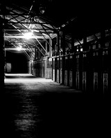 IMG_3715-3