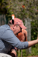 _MG_3829-1