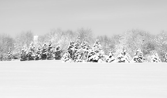 _MG_9961-1