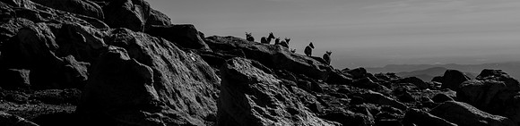 DSC00088-1
