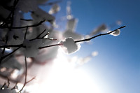 _MG_9860-1
