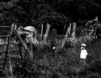 IMG_3486-1-8