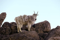 07.09.17 Mount Evans