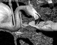 IMG_5022-1