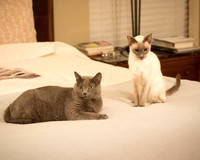 Sophia and Mya_J9A0771-1