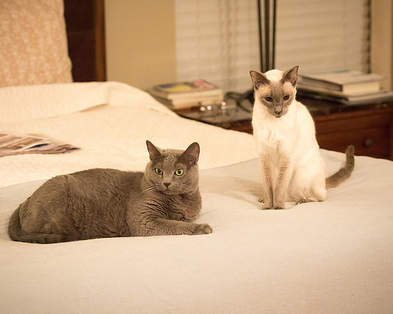 Sophia and Mya_J9A0771-1