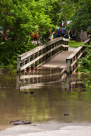 _MG_7280-1