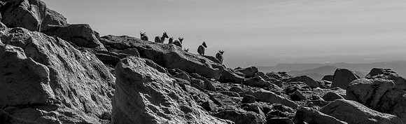 DSC00088-1