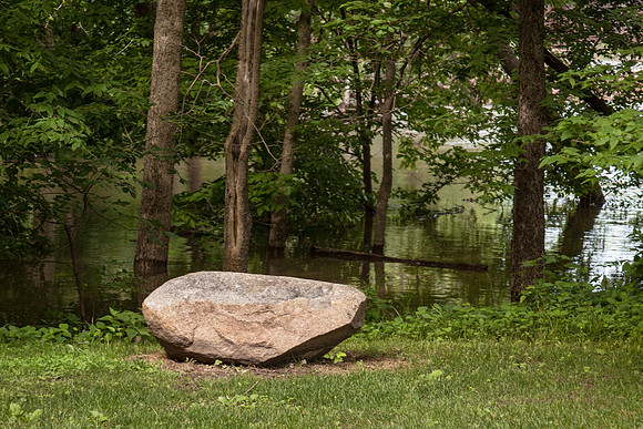 _MG_7266-1