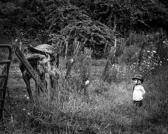"Curiosity" 3486_blackhalfinborder_LT