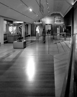 L1020068-1