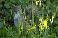 _MG_3055-1