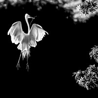 _MG_3045-1-2_060814_1201