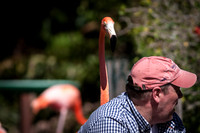 _MG_3819-1