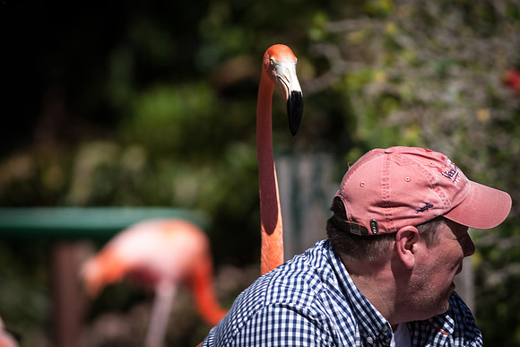 _MG_3819-1