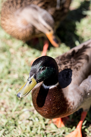 IMG_5153-1