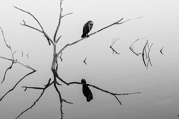 _MG_3075-1
