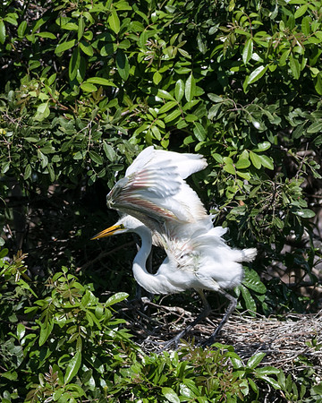 TH0A8735-1