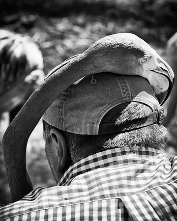 IMG_5076-10608141101